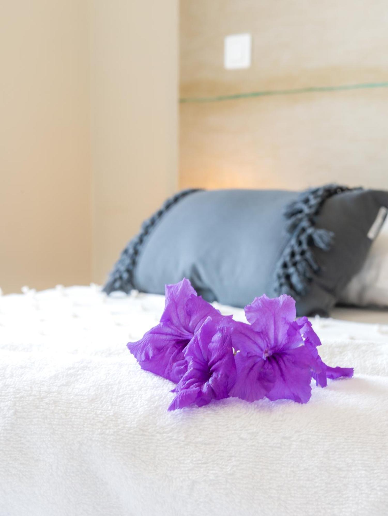 Hotel Iloma سانت لوسي المظهر الخارجي الصورة